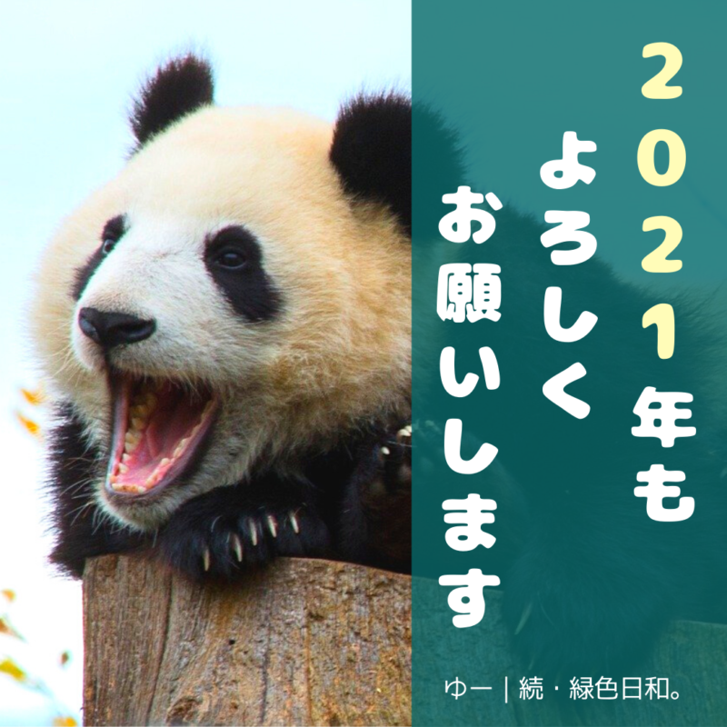 続・緑色日和。を2021年もよろしくお願いします！